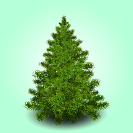Realistic christmas tree green backgroundのイラスト素材