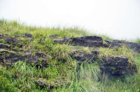 View of a foggy green grass grown in the hillock of limestone.の写真素材