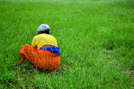 Shillong, India - May 21, 2010: Long shot of an old lady with white hair cutting grasses in the field. Old women working in the grass field in golf club wearing yellow blouse and orange color napkinのeditorial素材