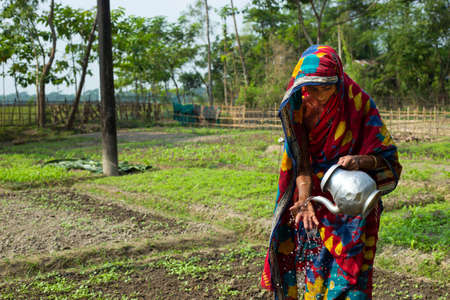 A poor rural woman taking care of her vegetables planted in her lands and giving water to the cultivation.のeditorial素材