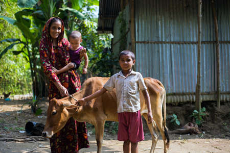 Gowainghat, Bangladesh â November 06, 2019: A happy family from the rural village. Small boy or child holding cow and taking care of his only earning source with mother and a baby on her lapのeditorial素材