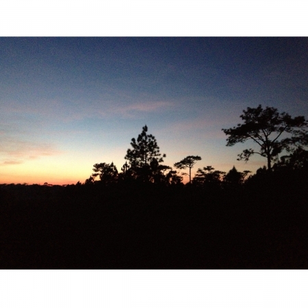 Sunsetの素材