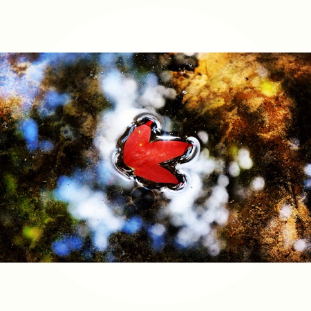 Mapleの素材