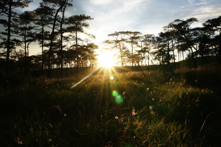 sunsetの写真素材
