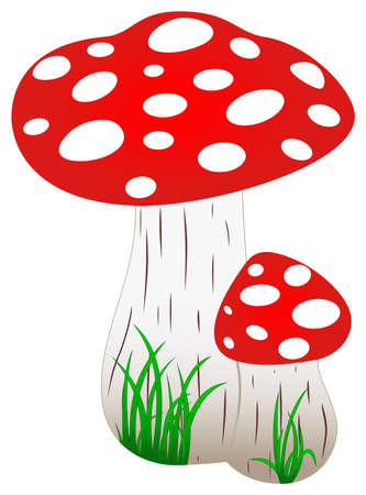 Red Amanita Fly Agaric Mushroom with green grass as vector. Mushroom on a isolated white background. Exact shape design of a red toadstool with grass.のイラスト素材