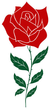 Rose vector with abstract branch and jagged leaves in red and dark green. White isolated background. Rose branch illustration with spikes.のイラスト素材