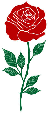 Rose vector with abstract branch and jagged leaves in red and dark green. White isolated background. Rose branch illustration with spikes.のイラスト素材