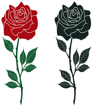Rose vector with abstract branch and jagged leaves in red, dark green and black. White isolated background. Rose branch illustration with spikes in colored and black variation.のイラスト素材