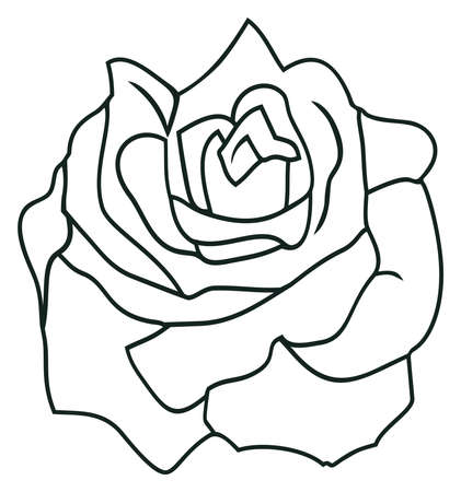Rose vector blossom with abstract outline in black. White isolated background. Rose flower illustration in contour silhouette design.のイラスト素材