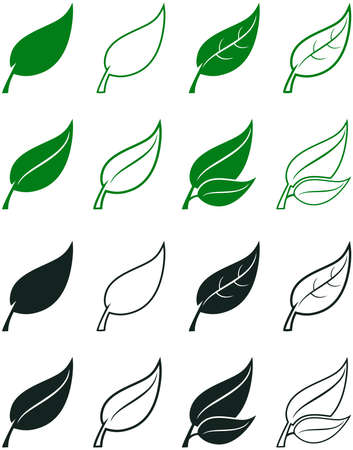 Leaf vector set in green and black. White isolated background. Abstract leaves illustration in different designs.のイラスト素材