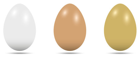 Egg vector set. Three eggs in white, brown and gold. White isolated background. Three simple egg shapes with bottom shadow. Bottom shadow removable for own requirements.のイラスト素材
