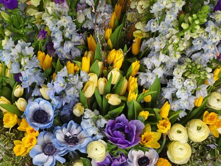 Flower arrangement background with delphinium, campanula and tulipsの写真素材