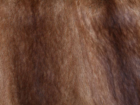Brown mink fur texture background. Close up shot