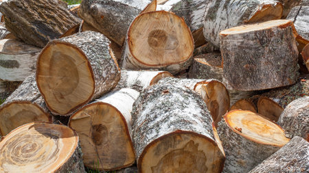 Chopped firewood birch logs on sunny day. Natural background