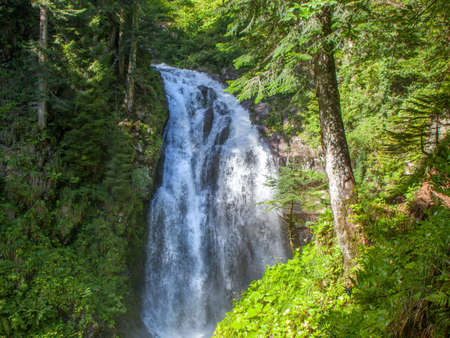 Mountain waterfall in canyon at daylight. Abkhazia, Russiaの写真素材