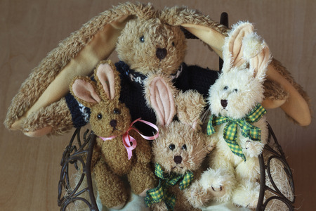 Easter Bunnies Familyの写真素材