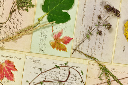 Vegetable Still Life with Leaves and Herbs in Front of 19th Century Letters