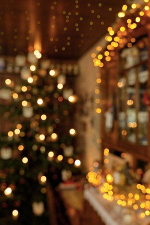 Blurred Portrait Concept with Christmas Interior Lightingの写真素材