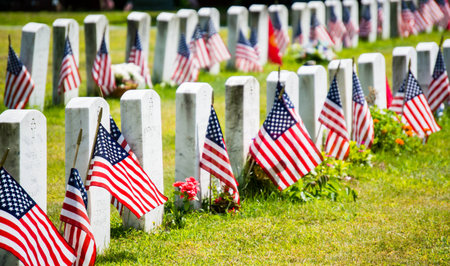 rows of grave markers in a military cemetery with American flagsのeditorial素材