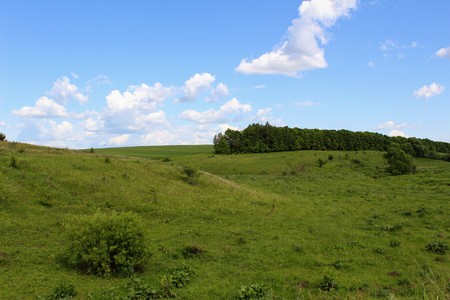 Typical for the Central Russian Upland landscapes - a rugged terrain with ravines and forest...