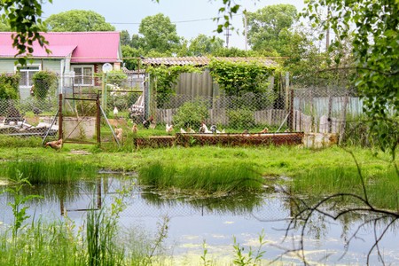 A small pond in front of the farmer's house. On the farm territory you can see poultry.の写真素材