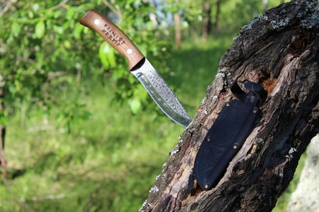 A beautiful knife with a wooden handle is stuck into a tree. On the handle is a runic inscription.
