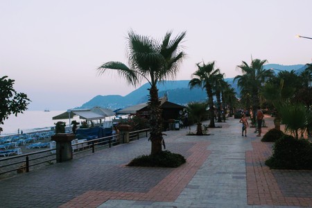 Alanya, Turkey, July 2017: palms on the city embankment.のeditorial素材
