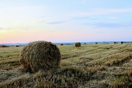 A hay ball on the field.の写真素材