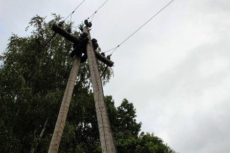 Old wooden poles of an electric line.