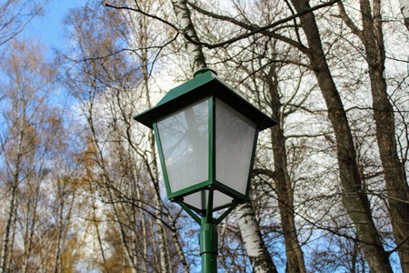 Birch Alley with beautiful street lamps in the estate of Leo Tolstoy in Yasnaya Polyana.の写真素材