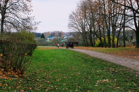 Horse walks in the park in the estate of Count Leo Tolstoy in Yasnaya Polyana in October 2017.のeditorial素材