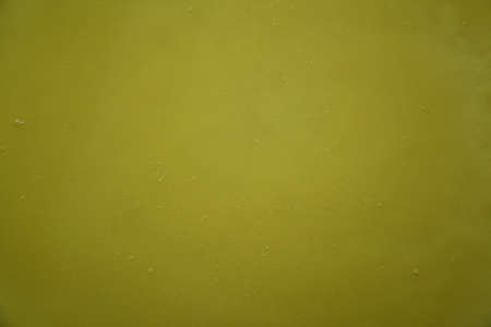background of flower honey with small bubbles horizontal viewの写真素材
