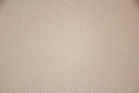 pastel leatherette background with a clear close-up textureの写真素材