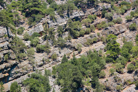 background of a mountain with trees and bushes with traces of stone cuts and movement of layersの写真素材
