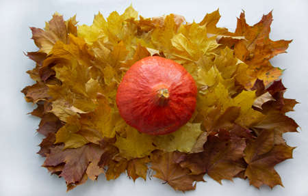 background of bright multicolored autumn fallen leaves and pumpkinsの写真素材
