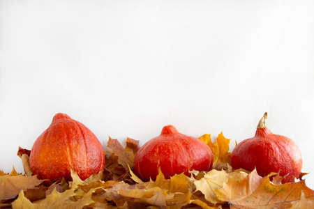 fallen autumn leaves and pumpkin harvest on a light background with an empty spaceの写真素材