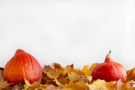 fallen autumn leaves and pumpkin harvest on a light background with an empty spaceの写真素材