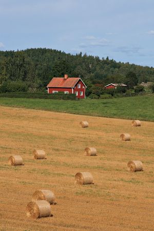 Swedish landscape with typical red house and a field with straw balesの写真素材