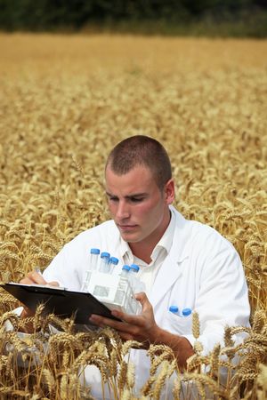 Agriculture scientist analyzing the crop in the fieldの写真素材