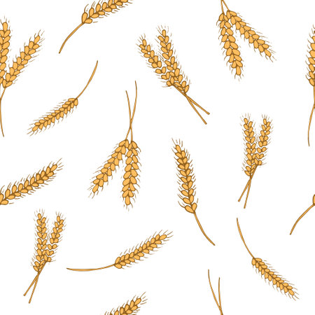 Seamless pattern Wheat ears on white background. Vector illustrationのイラスト素材