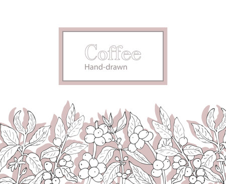 Coffee branches banner or label template for packaging design, hand drawn sketch style vector illustration. Banner with a coffee branch with leaves and berries decorative elements.のイラスト素材