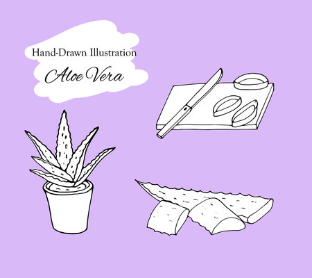 Hand drawn illustration of Aloe Vera set. Sketch of aloe vera elements. Vector silhouettes of botanical plant. Cosmetic products vector illustrationのイラスト素材
