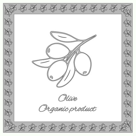 Olive organic product card. For olive product design, shops, markets, packaging, labels for products from olivesのイラスト素材