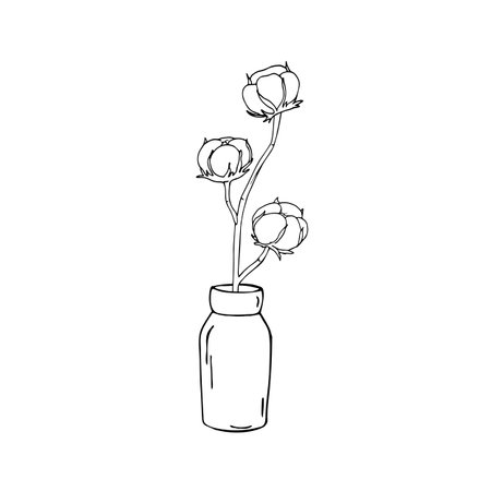 Cotton branch in vase. Vector illustration of home decore. Isolated on white background.のイラスト素材