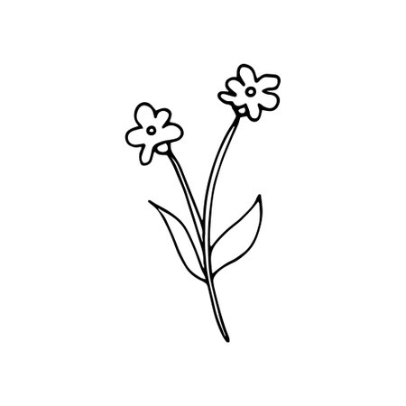 Simple doodle of flower, hand-drawn branch icon. Floral illustration.のイラスト素材