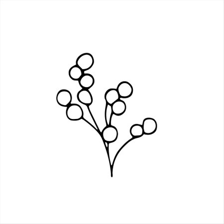 Herbal floral doodle-style vector illustration. Hand-drawn botanical illustration. Isolated objects on whiteのイラスト素材