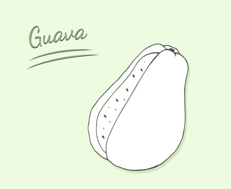 Hand-drawn guava fruit cut in half. Delicious tropical vegetarian objects. Exotic fruit isolated on a light backgroundのイラスト素材