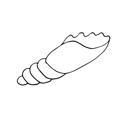 Simple hand-drawn illustration of a seashell in minimalistic line art style. Clean black outline on a white background. Perfect for beach-themed designs, coloring books, tattoo art, nature prints, and educational materials.のイラスト素材