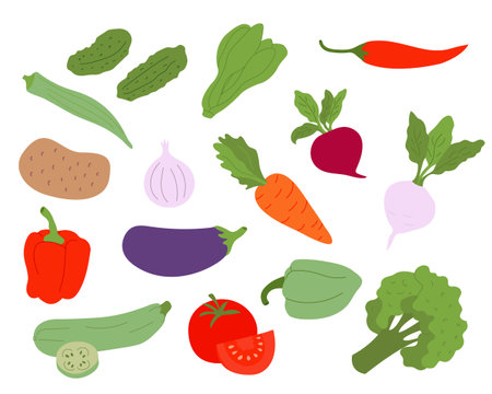 Vector illustration of assorted fresh vegetables in flat style including cucumbers leafy greens chili pepper potato onion carrot beets bell pepper eggplant zucchini tomato and broccoli arranged on a white background perfect for healthy food themes farmers market designs and vegetarian recipesのイラスト素材