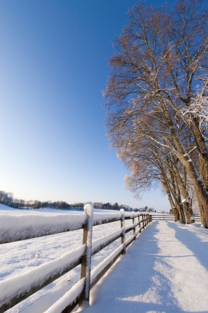 landscape fence and trees in a sunny snowy dayの写真素材